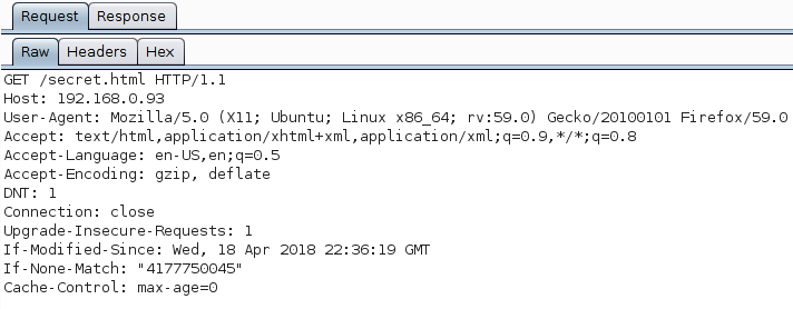The Firefox request in Burp's proxy.