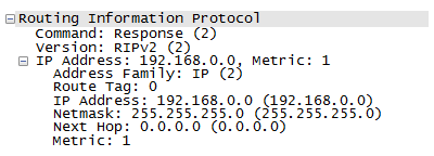 A RIPv2 packet - Just basic version 2
