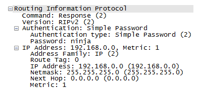 A RIPv2 packet
with plaintext authentication