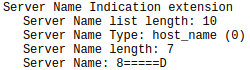 Wireshark packet analysis showing an ASCII penis in the SNI field
