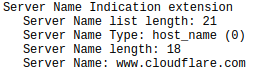 Wireshark packet analysis showing SNI extension with www.cloudflare.com in it rather than digininja.org.uk